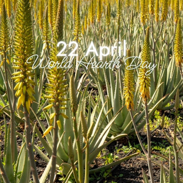 Sustainability You Can Feel: Why Aloe Vera Is the Best Choice for You and the Planet