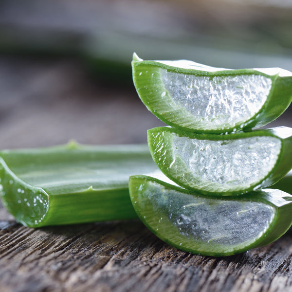 Advantages of Aloe Vera in your skin