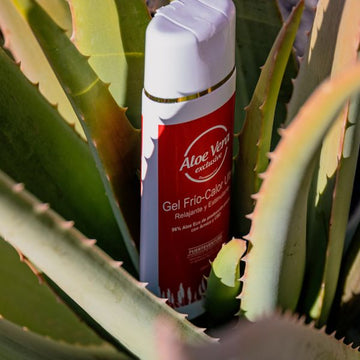 Cold or Heat After Exercise in Autumn? How to Make an Aloe Vera Hot and Cold Gel Part of Your Massage Ritual