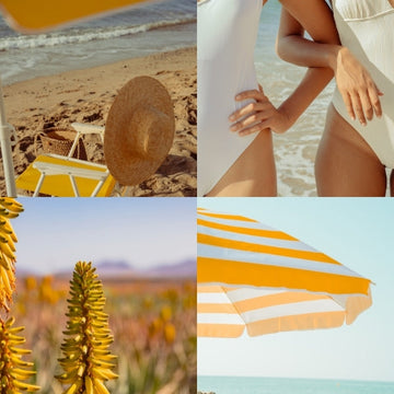 What to Buy from Aloe Vera Exclusive This Summer: The Complete Guide