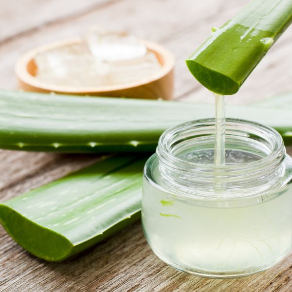 Aloe Vera Extract: One Product, Endless Possibilities