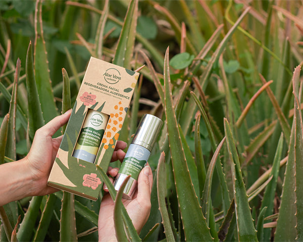 slider image slider_item_34DGbC