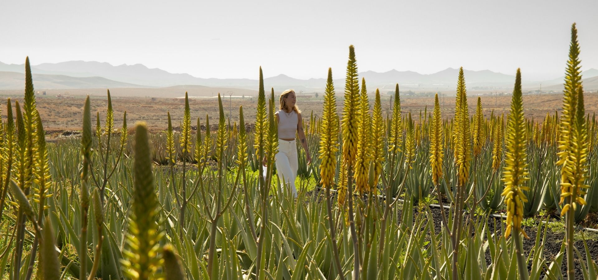 slider image slider_item_EgF3fk