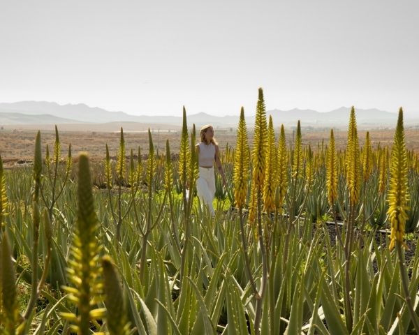 slider image slider_item_EgF3fk