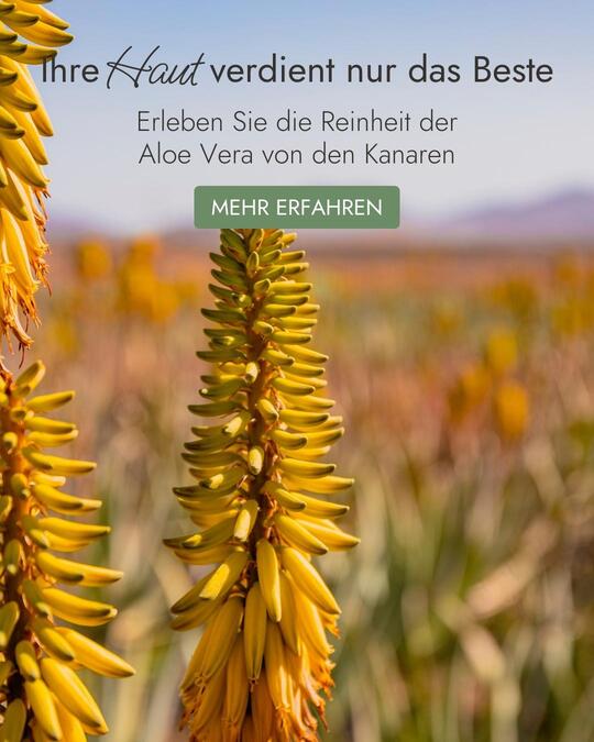 Aloe Vera Exclusive | Reines Aloe Vera von den Kanarischen Inseln