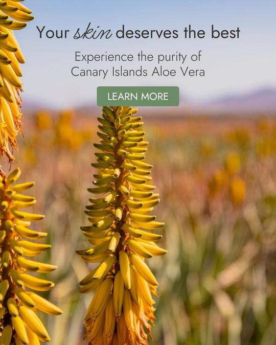 Aloe Vera Exclusive | Pure Aloe Vera from Canary Islands