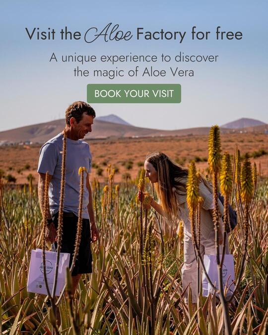 Aloe Vera Exclusive | Pure Aloe Vera from Canary Islands