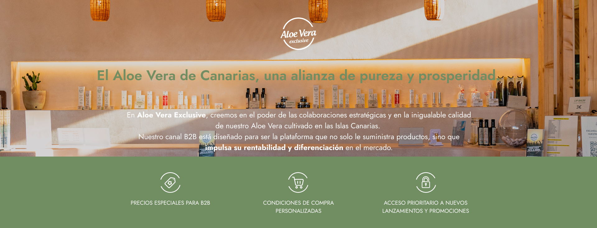 El Aloe Vera de Canarias, una alianza de pureza y prosperidad. Precios especiales para B2B, condiciones de compra personalizadas y acceso prioritario a nuevos lanzamientos y promociones.